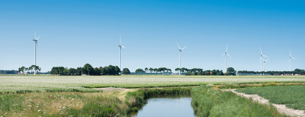 blossoming potatoe field and wind turbines in wieringermeer under blue sky in the netherlands - obrazy, fototapety, plakaty