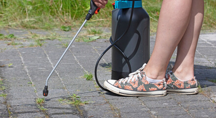 Spraying pesticide with portable sprayer to eradicate garden weeds