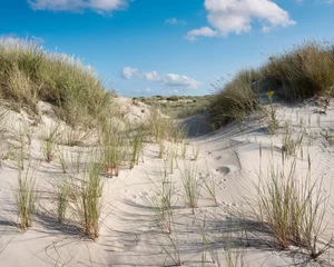 Poster nederlandse waddeneilanden hebben veel verlaten zandduinen uinder blauwe zomerlucht in nederland © ahavelaar