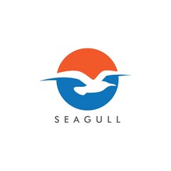 Seagul bird illustration