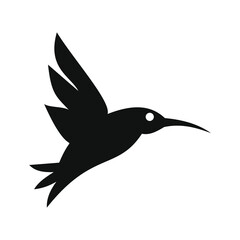 flying little bird portrait