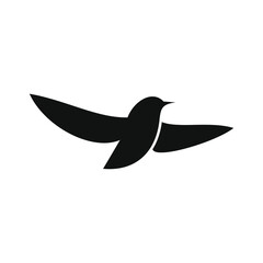 flying little bird portrait