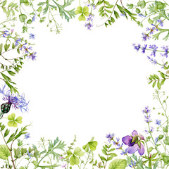 Fototapeta na wymiar A delicate frame made of hand-drawn watercolor herbs and flowers. Watercolor illustration.