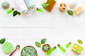 Fototapeta na wymiar Frame of tea tree cosmetics with essential oil and green leaves
