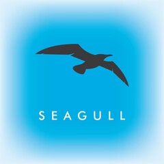 Seagul bird illustration