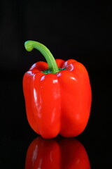 Sweet red paprika isolated on dark background