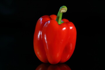 Sweet red paprika isolated on dark background