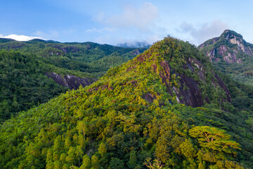 Morne Seychellois National Park aerial view from drone during sunset, golden hour, with lush...