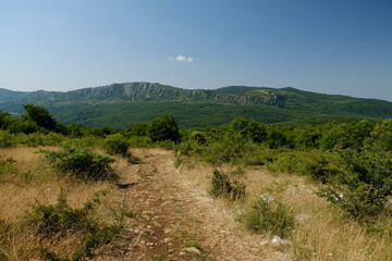 Fototapeta na wymiar hiking trail mountain landscape in the summer