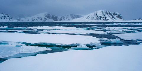 Drift floating Ice and Snowcapped Mountains, Albert I Land, Arctic, Spitsbergen, Svalbard, Norway,...