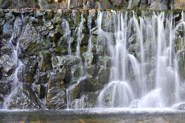 waterfall in the forest