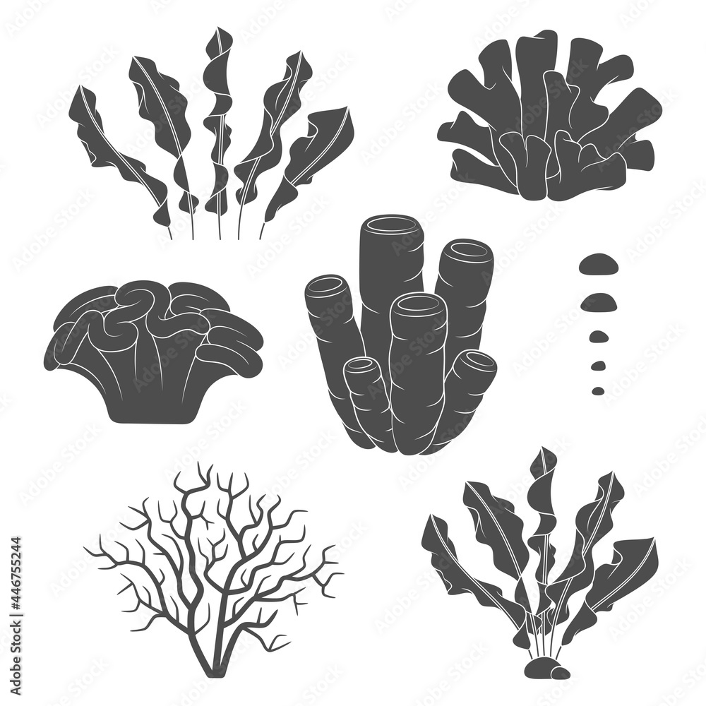 Aufkleber set of black and white illustrations with corals and algae. isolated vector objects on a white backg