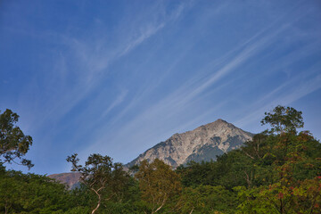 Fototapeta premium Mt.Shirouma and alpine plants in early autumn, 初秋の白馬岳登山と高山植物たち 