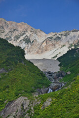 Mt.Shirouma and alpine plants in early autumn, 初秋の白馬岳登山と高山植物たち 