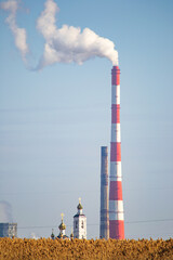 plant with smoke