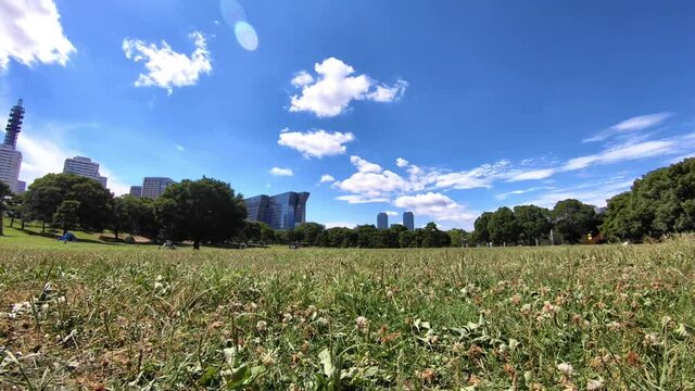横浜みなとみらい・タイムラプス 臨港パーク