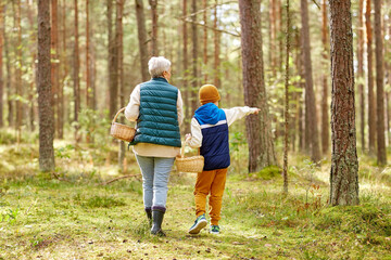mushroom picking season, leisure and people concept - grandmother and grandson with baskets walking in forest