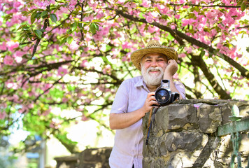 travel concept. male photographer enjoy cherry blossom. travel and walking in cherry park. hobby at retirement. tourism and holiday. traveler man under sakura bloom garden. blossoming spring tree