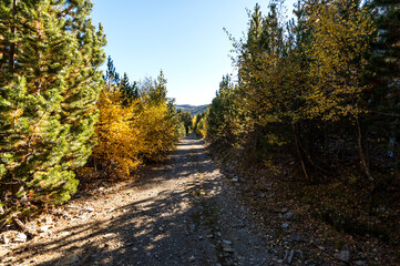 camino de montaña con piedras, los árboles con colores de otoño y el cielo azul 