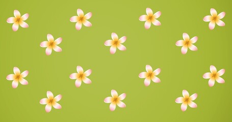 Composition of rows of flowers on green background
