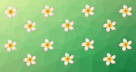 Composition of rows of flowers over green background