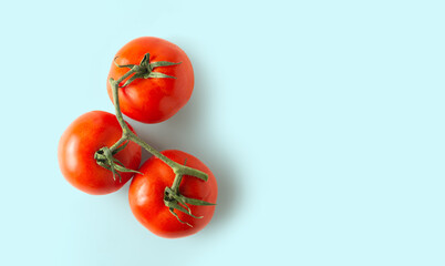 Tomato on blue background top view with copy space