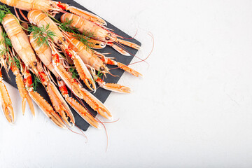 Sea crayfishes on a stone plate served with dill, horizontal, top view, copy space
