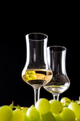 Italian golden grappa drink on black background