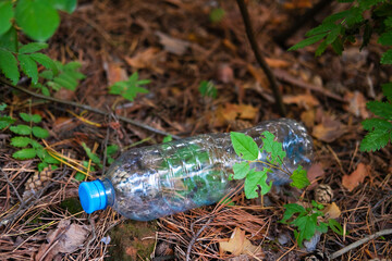 An empty dirty plastic bottle lies on dry leaves in the forest. The ecological problem is a forest...