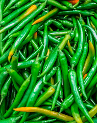 green pepper is spicy delicious healthy