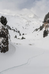 snowy mountains valley with trees and clouds