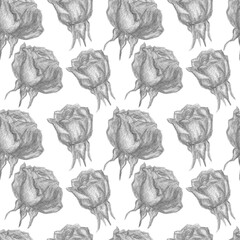 Seamless pattern rose buds, hand drawn