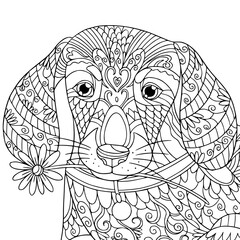 Dachshund dog portrait with flower in mouth. Coloring book page for adult with doodle and zentangle elements. Vector illustration.
