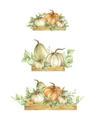 Watercolor pumpkins set. Autumn decoration floral design. Isolated on white background. Botanical illustration. Thanksgiving card.