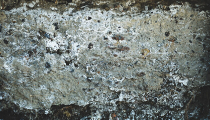 grunge texture, old concrete wall with fine gravel