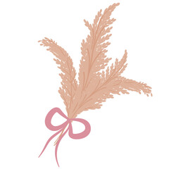 A bouquet of wheat, pampas with a pink bow is isolated on a white background. Vector illustration in the flat boho style of Cortaderia selloana.