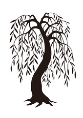 Weeping Willow tree, black silhouette.
Illustration of melancholy tree motive. Isolated on white background. Vector available.