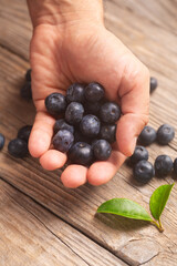 Male hand holding blueberries on wooden background