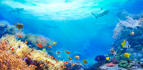 Naklejka na ściany i meble Animals of the underwater sea world. Panoramic view of the coral reef. Colorful tropical fish. Ecosystem. 