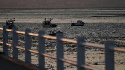 barco tejo Alcochete