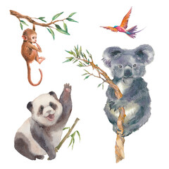 Watercolor cartoon animals set. Panda, koala, monkey and bird isolated on white background