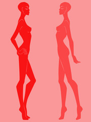 Two silhouette of abstract attractive and sensual ladies