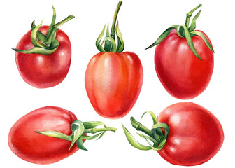 Set Tomato on an isolated white background. watercolor illustration