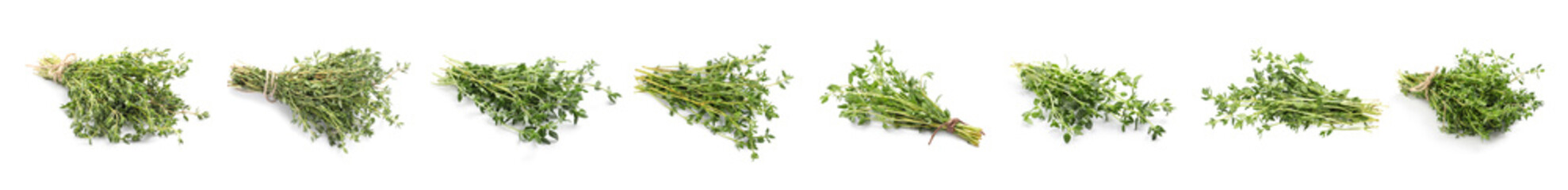 Set with aromatic thyme on white background. Banner design
