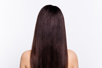Naklejka premium Back rear view photo of young woman incognito anonym haircare salon procedure treatment isolated over grey color background