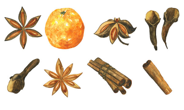 Set of orange fruit, cinnamon, anise star, clove spice isolated on white background. Watercolor hand drawing illustration. Perfect for design menu.