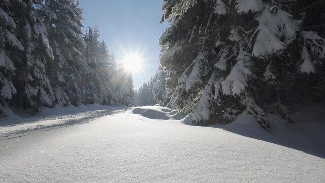 A cross-country skiing trail in a snow-covered forest landscape on a sunny day in winter