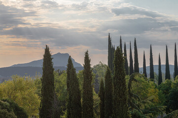 the Sainte Victoire mountain in the morning light in summer