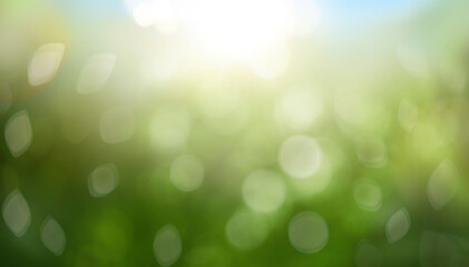Blurred bokeh background of fresh green spring, summer foliage with blue sky and sun flare....
