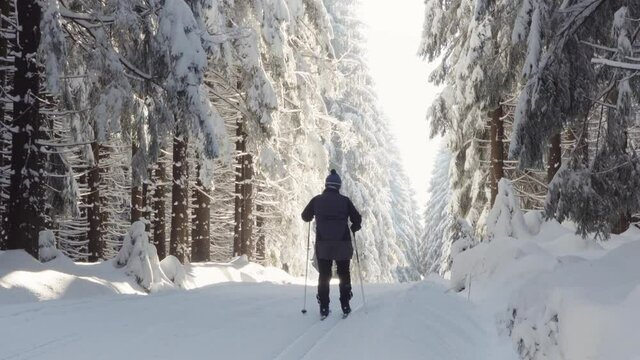 A cross-country skier walks down a trail in a snow-covered forest in winter